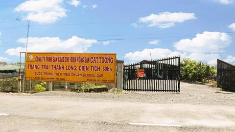 Dragon Fruit Farm in Tan Phuoc